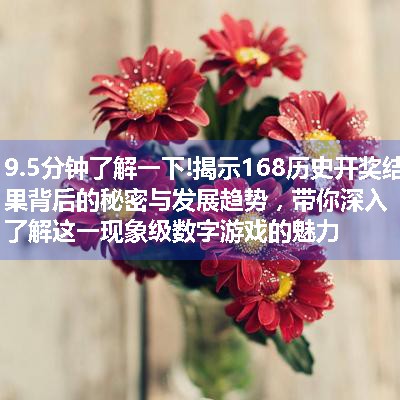 揭示168历史开奖结果背后的秘密与发展趋势，带你深入了解这一现象级数字游戏的魅力