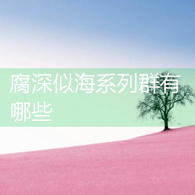 腐深似海系列群有哪些