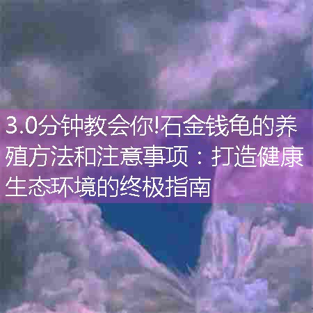 石金钱龟的养殖方法和注意事项：打造健康生态环境的终极指南