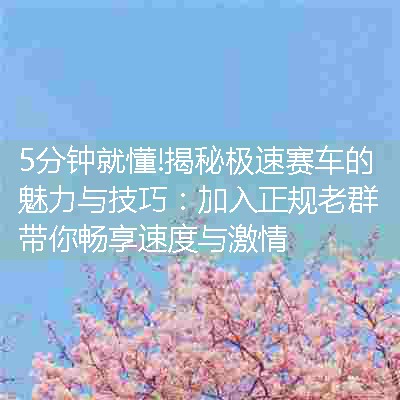 揭秘极速赛车的魅力与技巧：加入正规老群带你畅享速度与激情