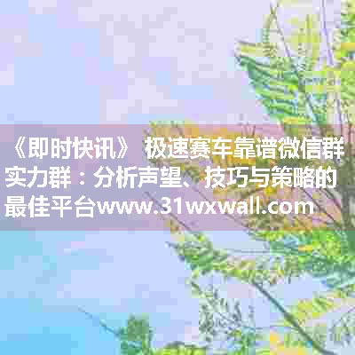 极速赛车靠谱微信群实力群：分析声望、技巧与策略的最佳平台